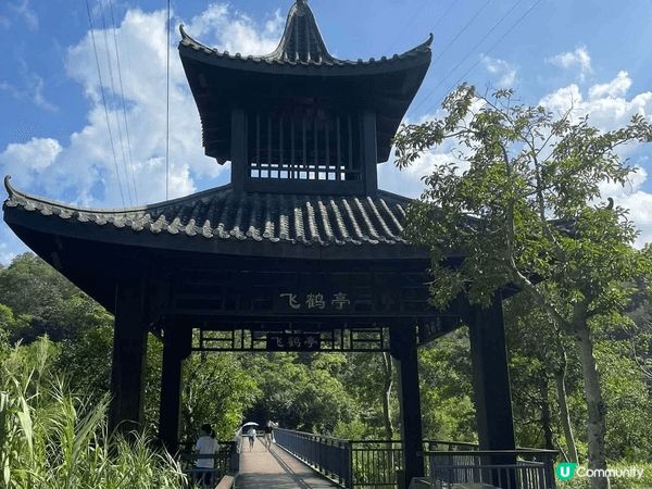 走進中山古香林公園，彷彿進入了一個詩意的世外桃源。這裡有百年...