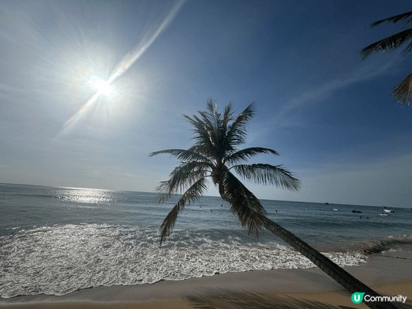 越南富國島，12月旱季，每天都可在酒店的私人沙灘與陽光玩遊戲...