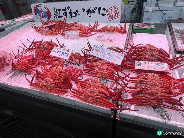 去米子旅行最期待嘅行程，食長腳蟹同魚生，米子係一個臨海地方，...