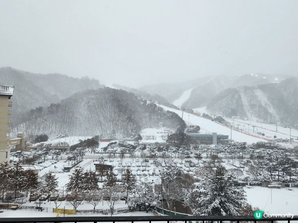 冬天最適到韓國看雪景和滑雪☃️ 打卡影靚相📸 樂也✌️