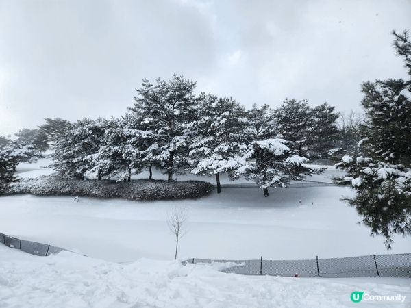 冬天最適到韓國看雪景和滑雪☃️ 打卡影靚相📸 樂也✌️