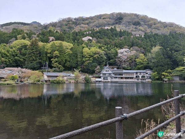 日本行 嘢食又多又好食 風景好靚， 去旅行果然唔同啲😆😆...