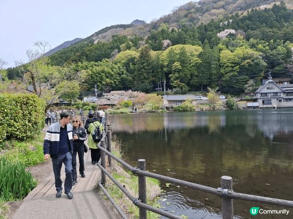 日本行 嘢食又多又好食 風景好靚， 去旅行果然唔同啲😆😆...