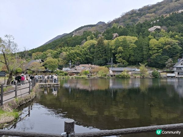 日本行 嘢食又多又好食 風景好靚， 去旅行果然唔同啲😆😆...