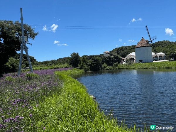 韓國濟州島旅行