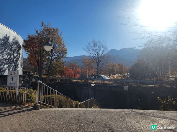 去富士山滑雪之前經過這個小公園，充滿楓葉， 秋日嘅氣息