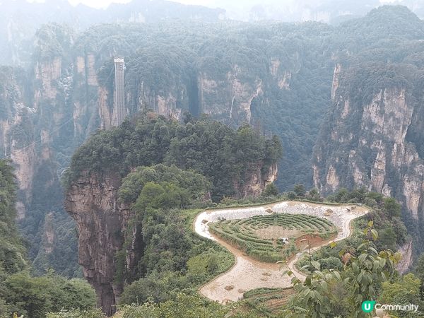 張家界國家森林公園，山水風景多不勝數，空中田園是其中之一