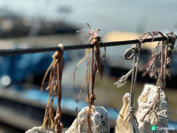 流浮山一日遊，交通非常之方使，乘搭港鐵元朗站，真係超方便到這...