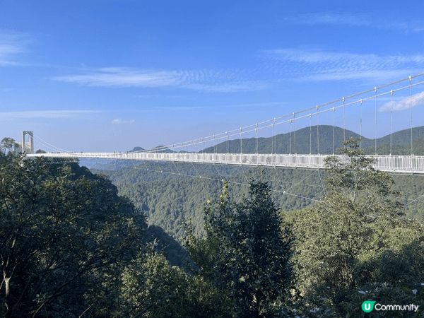 江西三百山的玻璃橋，是國家5A級旅遊景點，美不勝收。