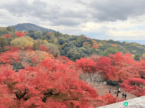 秋天去左東大寺睇紅葉，古廟加埋靚景，張張都係靚相，影到冇停手...