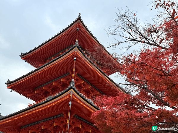 秋天去左東大寺睇紅葉，古廟加埋靚景，張張都係靚相，影到冇停手...