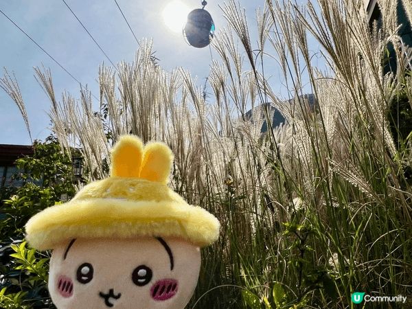 帶Usagi去海洋公園玩，佢第一次見熊貓家姐細佬。那天天氣很...