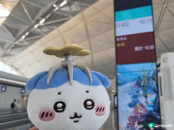 之前帶咗小八去台灣 一齊搭飛機 好開心 仲有去到香港個拉麵舖...