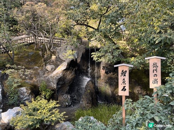 再遊金閣寺，少了大陸遊客，回歸寧靜。明鏡似的倒影靜靜的看着時...