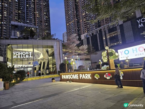 同屋企人親戚一齊去yoho酒樓食飯, 同埋之前喺屯門v ci...