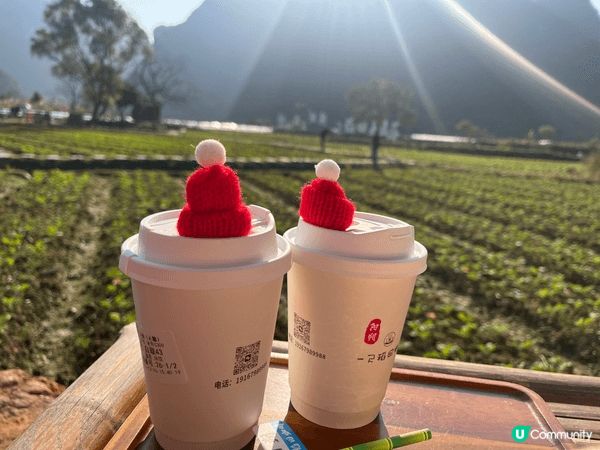 聖誕去咗陽朔嘅稻田Cafe嗰度飲住陳皮latte,望住陽朔獨...
