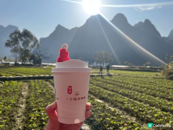 聖誕去咗陽朔嘅稻田Cafe嗰度飲住陳皮latte,望住陽朔獨...