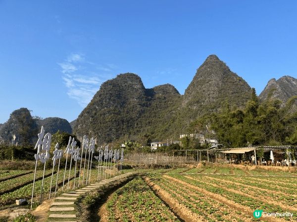 聖誕去咗陽朔嘅稻田Cafe嗰度飲住陳皮latte,望住陽朔獨...