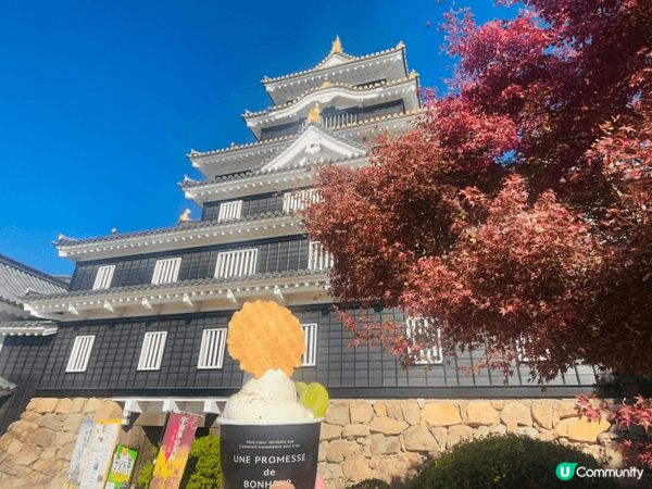 11月份的岡山城紅葉很美，旁邊是岡山後樂園，可以順道一遊
