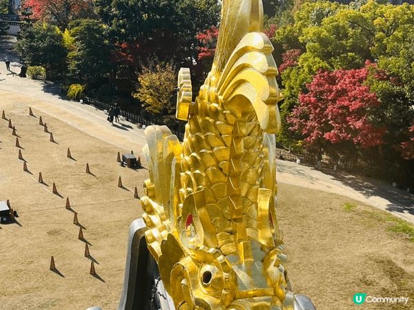 11月份的岡山城紅葉很美，旁邊是岡山後樂園，可以順道一遊