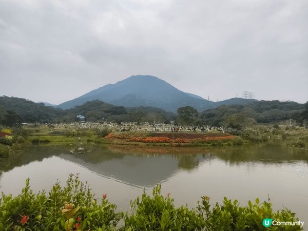 新一年由小小旅行開始，到深圳鹽田看看山水，欣賞日與夜，充滿電...