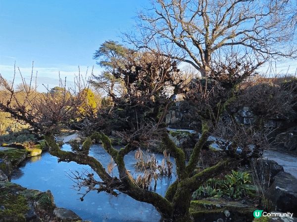 於英國探訪朋友時，一起前往的RHS Garden Wisle...