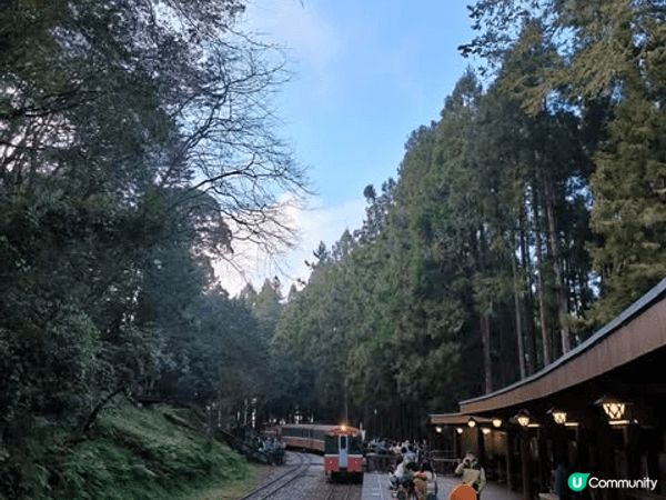 阿里山森林鐵路是百年歷史的山地小火車，沿途穿越高聳杉林與蜿蜒...