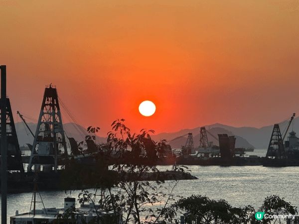 望住夕陽吃下蒸野，簡簡單單就過左一日，燒賣、蝦，香港好去處。...