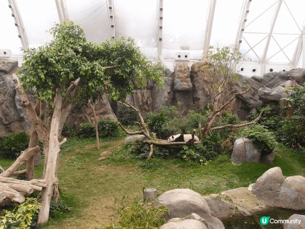 好玩的香港海洋公園
