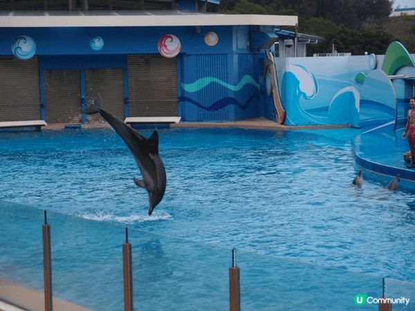 好玩的香港海洋公園