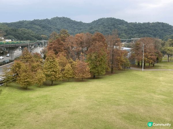 台北悠閑之旅，紅葉公園散步，參觀美術館，打卡網美cafe。