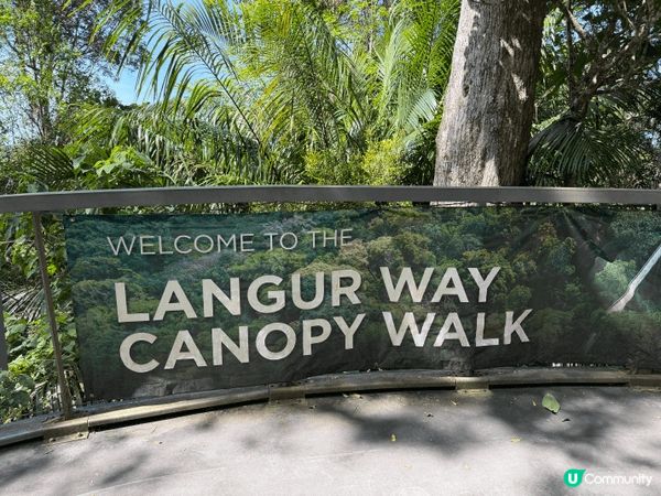 去檳城上升旗山，行生態公園，周圍有好多動物和植物。除了登山健...