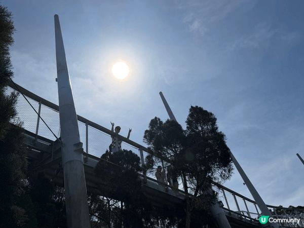 去檳城上升旗山，行生態公園，周圍有好多動物和植物。除了登山健...