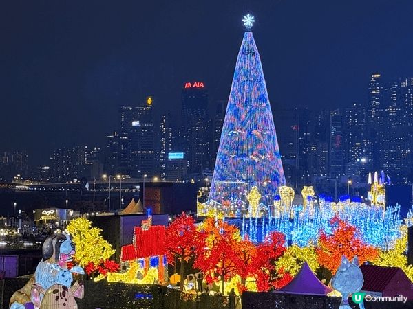 灣景酒店自助餐好食，多選擇，更有靚靚燈飾在食自助餐一邊食一邊...