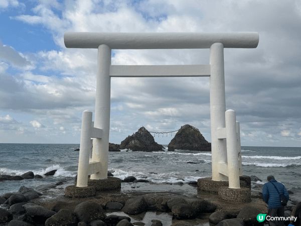第一張圖片: 去咗深圳嘅植物公園睇落雨松