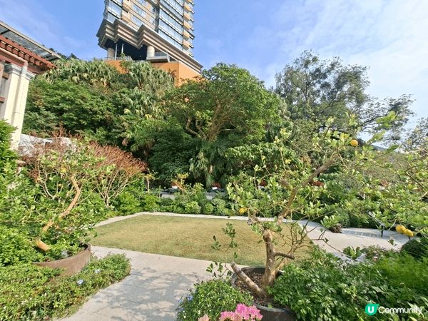 ✨️香港假日好去處💯淺水灣影灣園復古風格🎊更可欣賞美麗的海景...