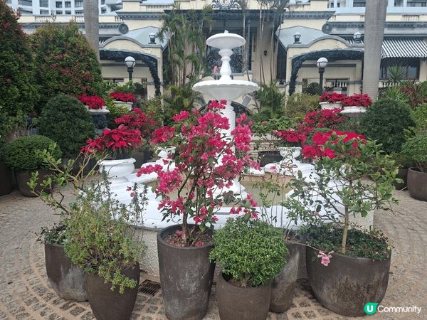 ✨️香港假日好去處💯淺水灣影灣園復古風格🎊更可欣賞美麗的海景...