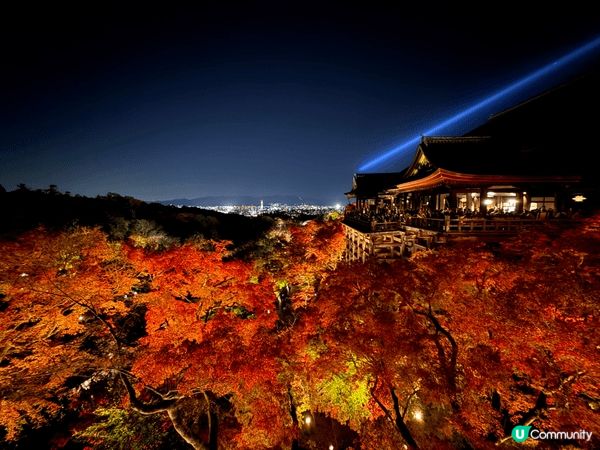 12月去咗京阪旅行，啱啱撞正紅葉盛開，色彩好豐富，影出嚟嘅相...