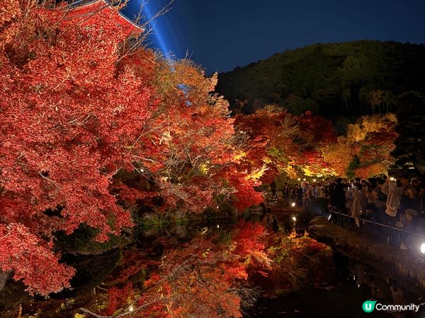 12月去咗京阪旅行，啱啱撞正紅葉盛開，色彩好豐富，影出嚟嘅相...