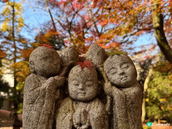 12月去咗京阪旅行，啱啱撞正紅葉盛開，色彩好豐富，影出嚟嘅相...