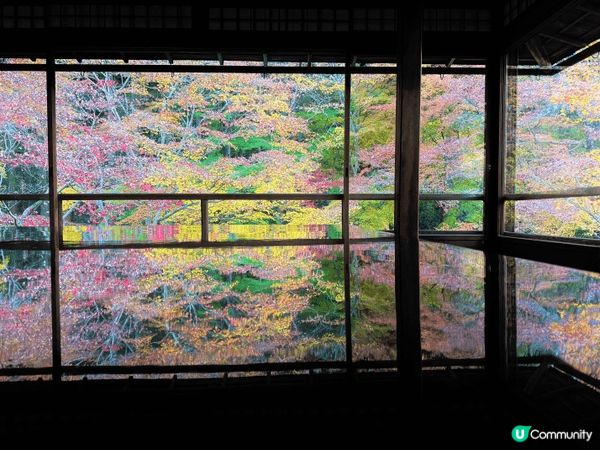 12月去咗京阪旅行，啱啱撞正紅葉盛開，色彩好豐富，影出嚟嘅相...