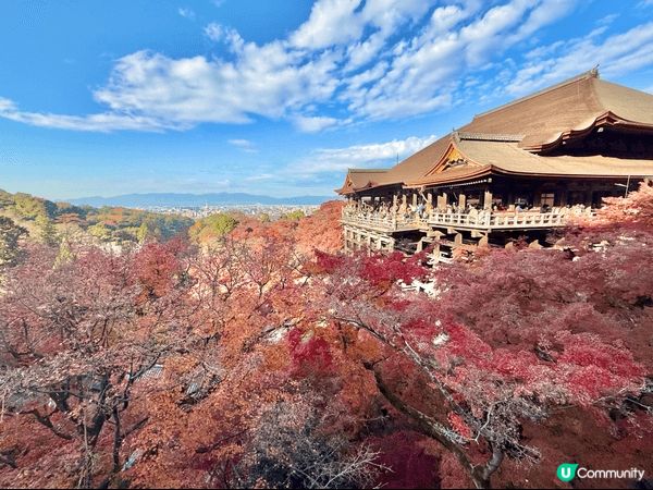 12月去咗京阪旅行，啱啱撞正紅葉盛開，色彩好豐富，影出嚟嘅相...