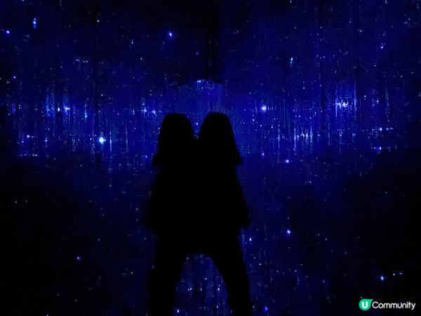 東京豐洲的teamLab是一個融合藝術、科技和自然的互動體驗...