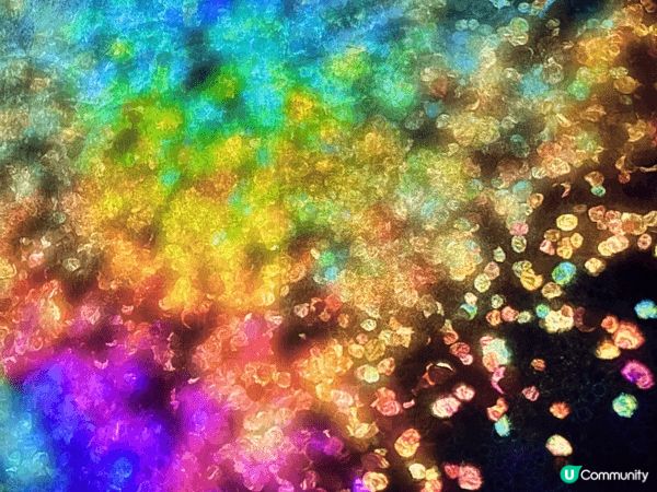 東京豐洲的teamLab是一個融合藝術、科技和自然的互動體驗...