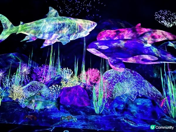 東京豐洲的teamLab是一個融合藝術、科技和自然的互動體驗...