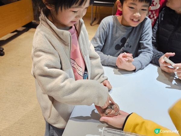 帶小朋友去挪亞方舟與迪士尼體驗親親小動物，玩機動遊戲，睇劇場...