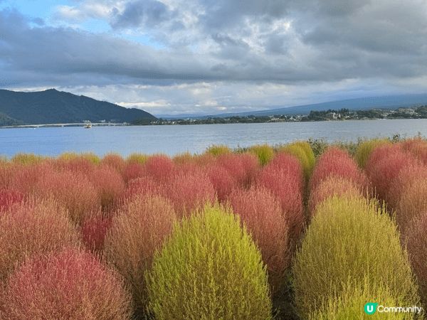 沖繩美麗海水族館是必訪地，其核心「黑潮之海」水槽震撼無比——...