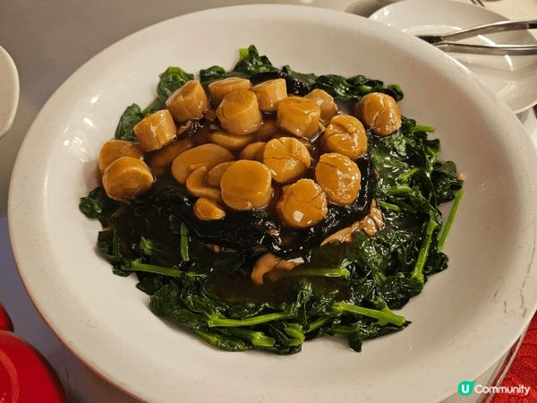 早幾日，去了一間酒樓食晚餐，菜式豐富，有乳豬，瑤柱，龍蝦，最...