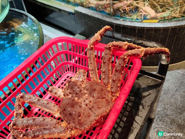海港的長腳蟹同龍蝦又新鮮又好味價錢仲比自己煮平真係方便又好味...