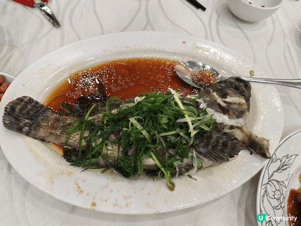 這間酒樓是位於荃灣，名叫-翠宛酒家，最推介是蒸魚，肉嫩而肥美...